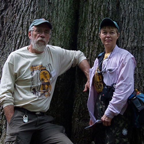 michael and sue jeffords