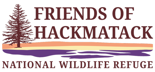 Friends of Hackmatack National Wildlife Refuge
